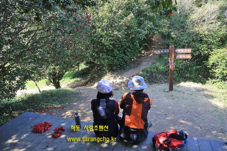 광양동백축제추진위원회 이미지