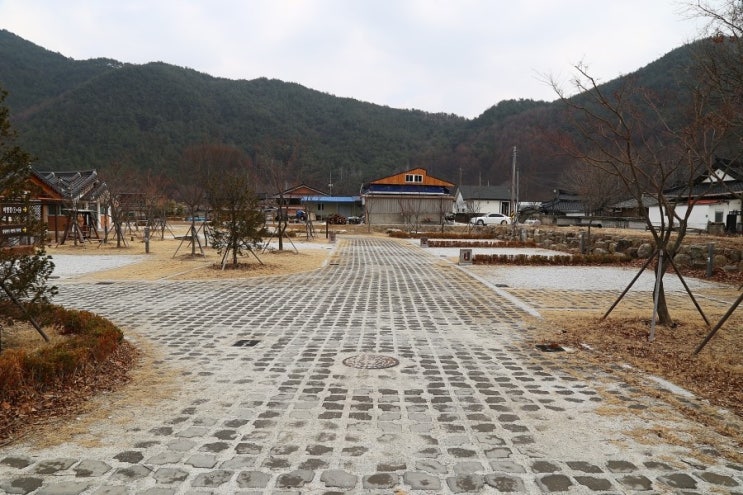 농월정오토캠핑장 이미지