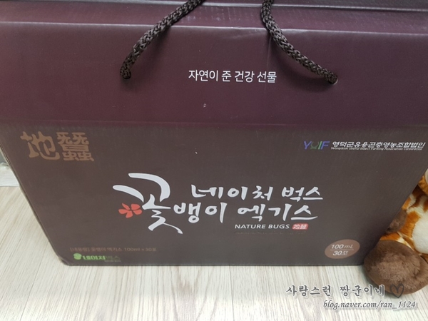 영덕군 유용곤충영농조합법인 이미지