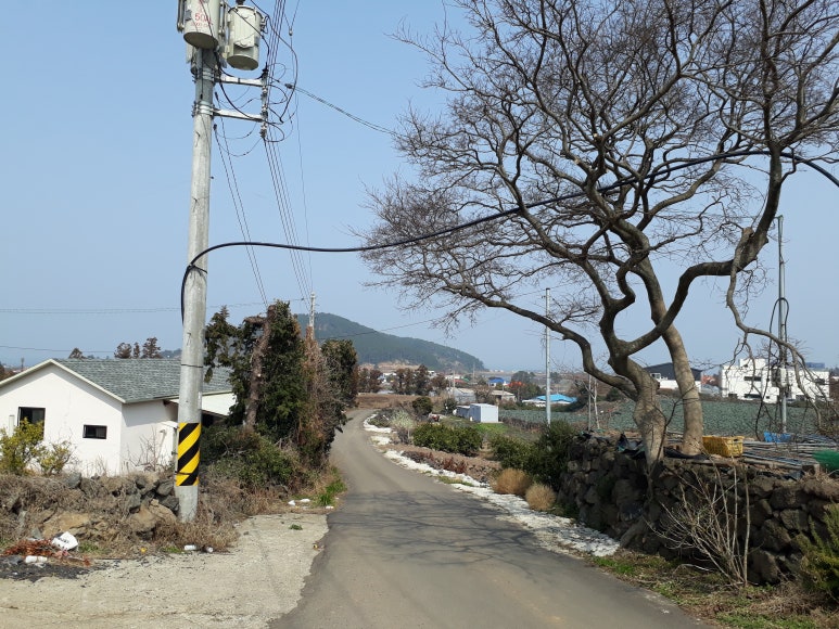 아가페수산 이미지