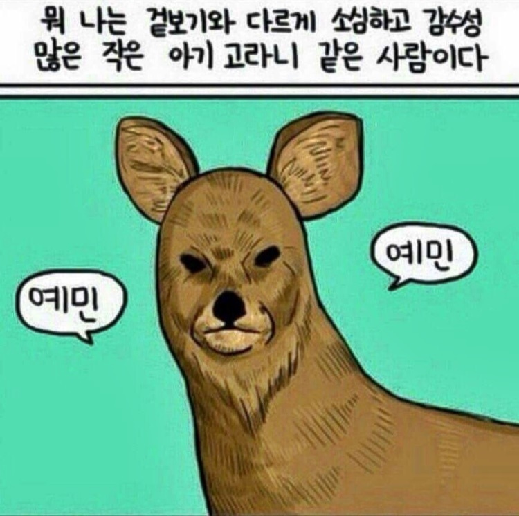 미남살롱 이미지