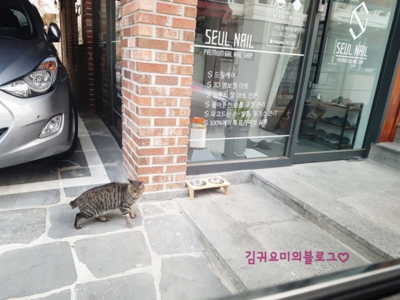 슬:네일 이미지