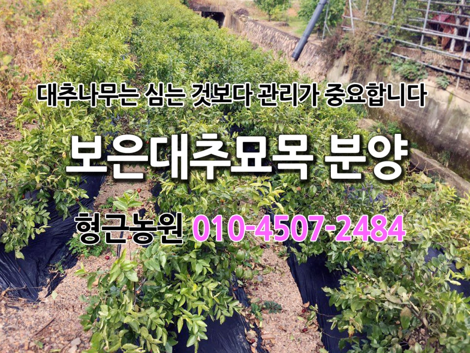 형근농원 이미지