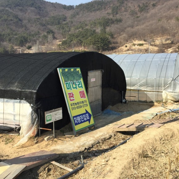 강변삼겹살 이미지