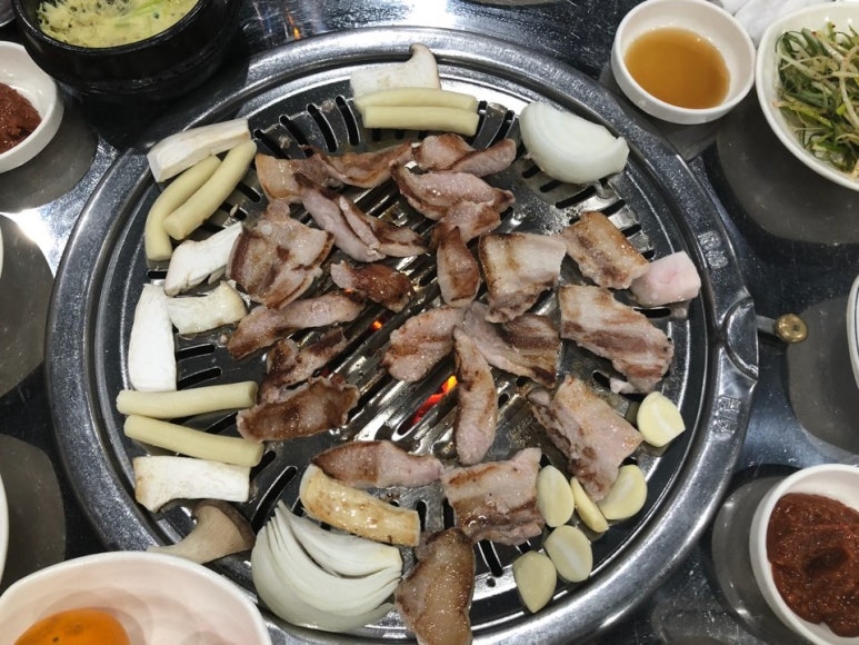 섹시한돼지 이미지