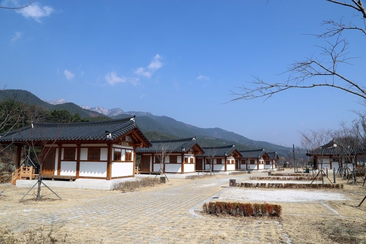 농월정오토캠핑장 이미지