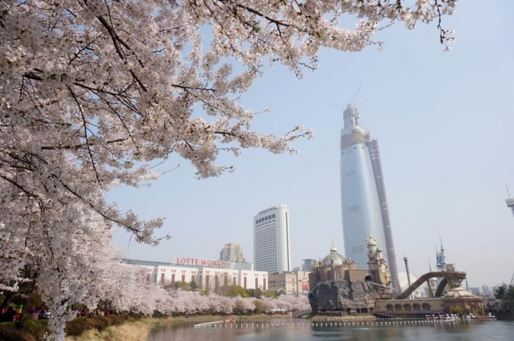 봄컴퍼니 이미지