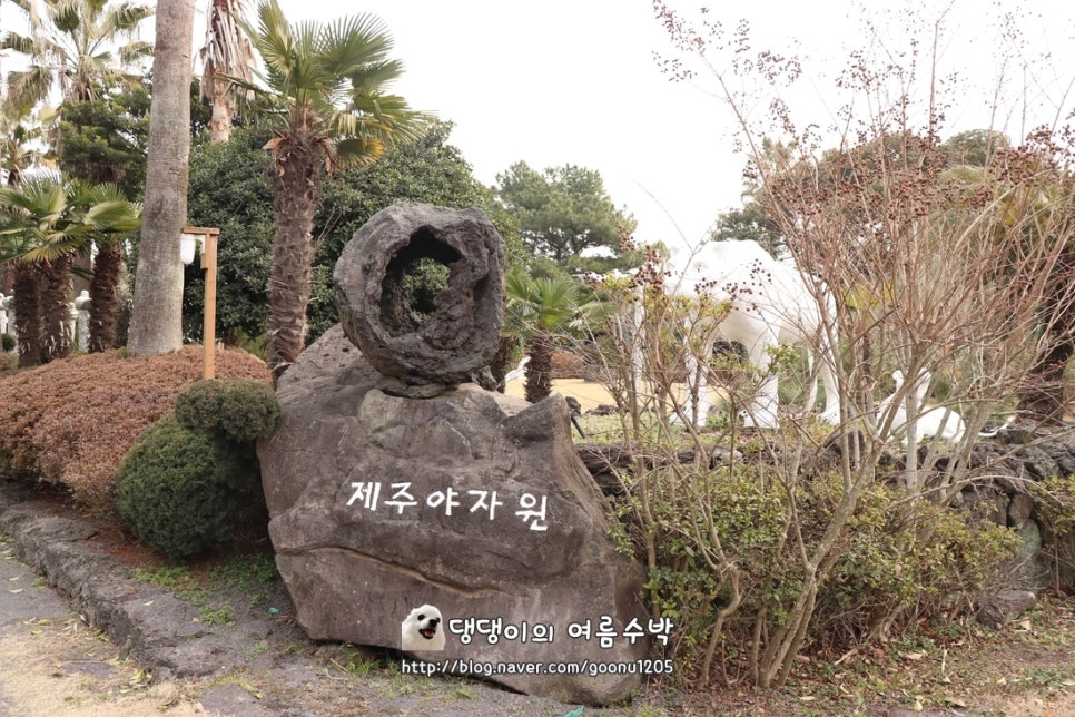 제주 야자원 이미지