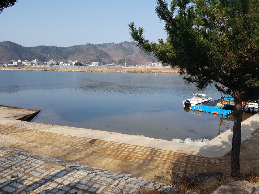 오십천마리나 이미지