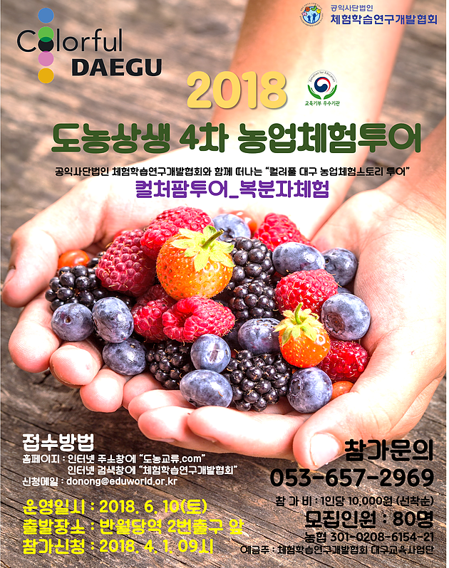 체리투어 이미지