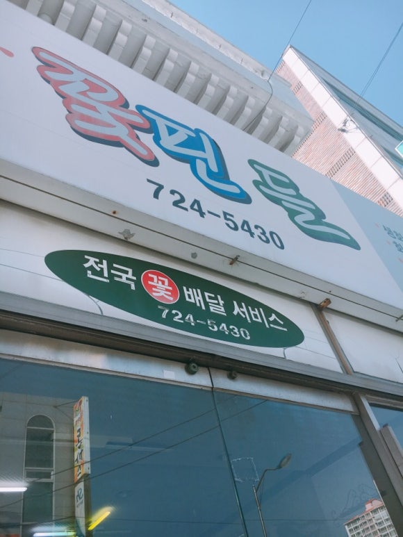 꽃핀들 이미지