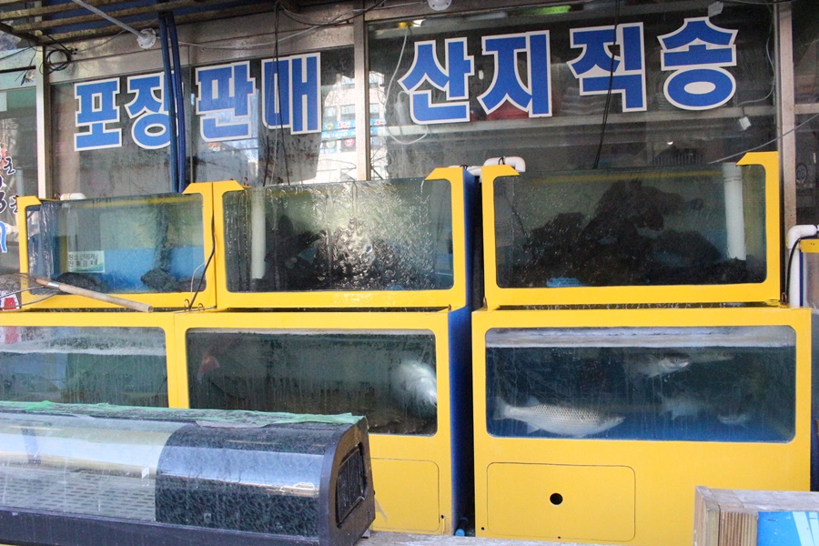 인천횟집 이미지