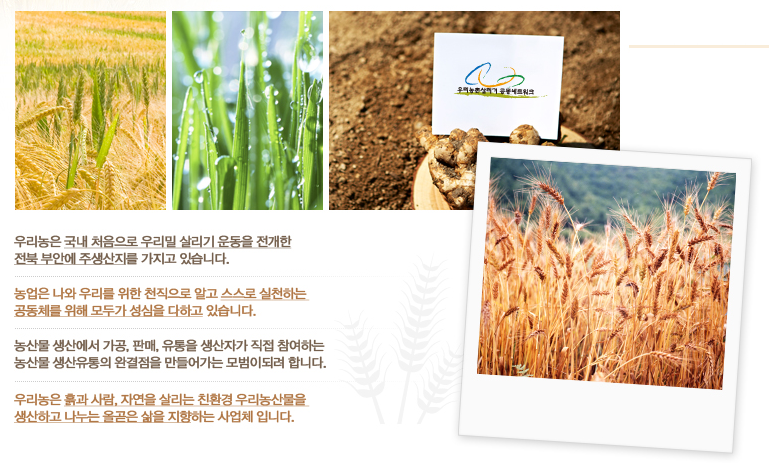 농업회사법인(주)우리농촌살리기공동네트워크 이미지