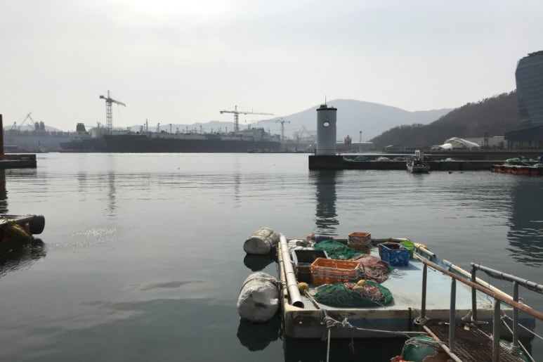 와이모텔 이미지
