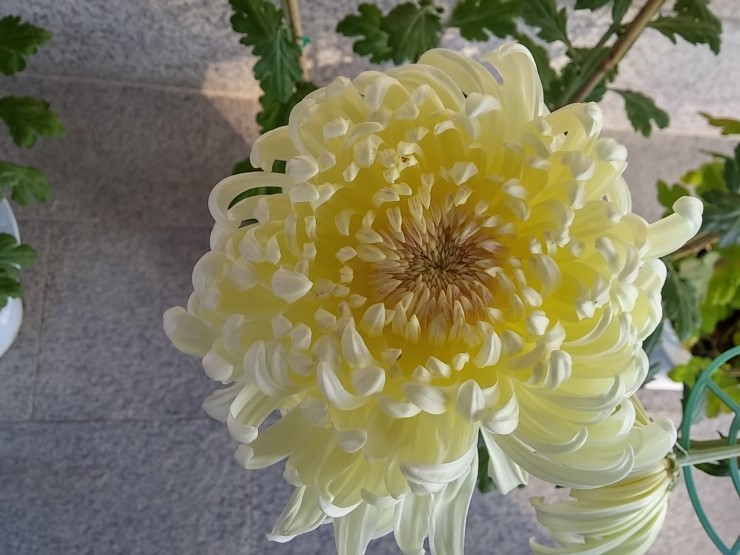 수화커피숍 이미지