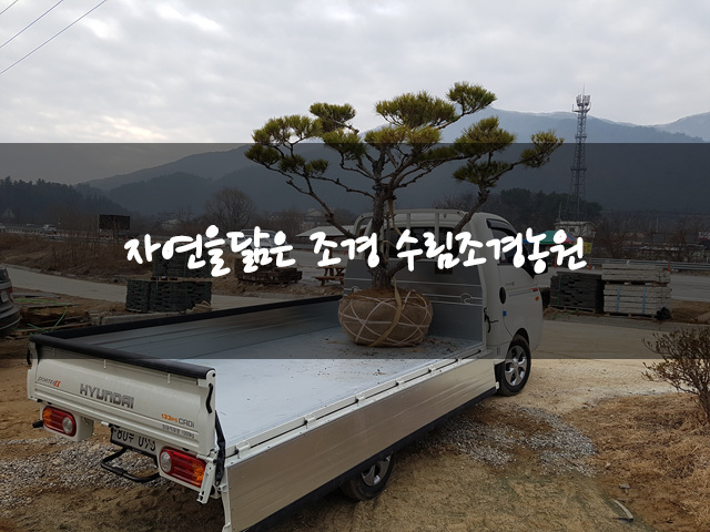수림조경 이미지