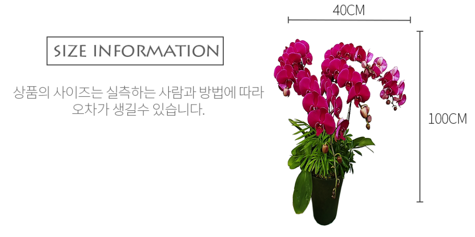 남양꽃집힐링플라워 이미지