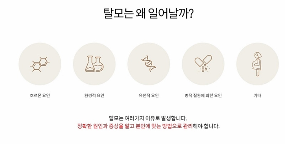 제이나인 이미지