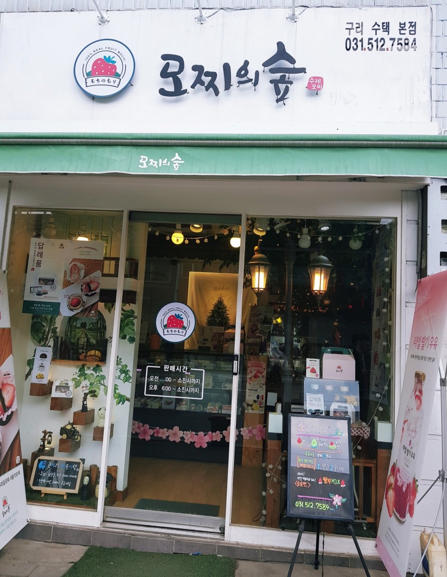 모찌의숲 이미지