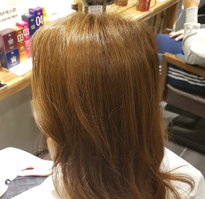 살롱드스텔라 이미지