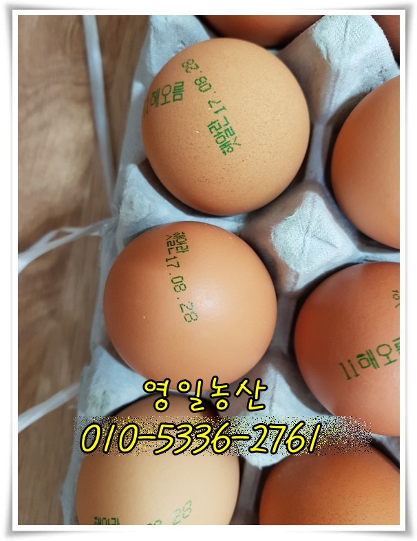 영일농산 이미지