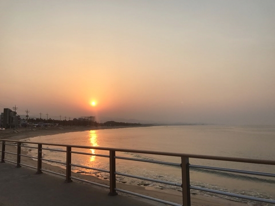 로뎀나무펜션 이미지