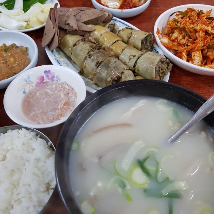 돼지이모 이미지