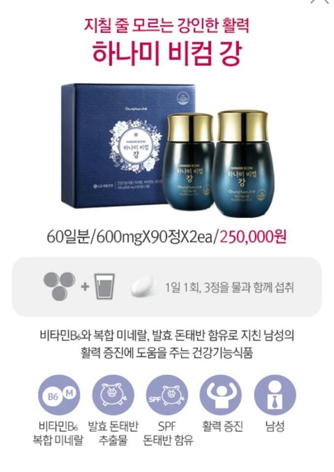 하나미 이미지