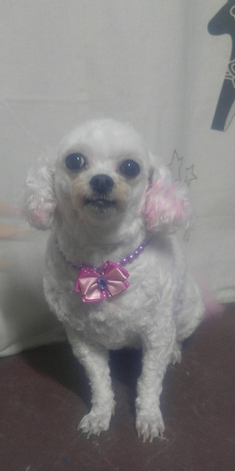 대성사우나 미용실 이미지