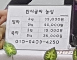 한티골마 이미지