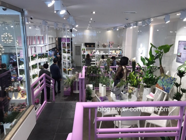 스노우폭스플라워강남 이미지