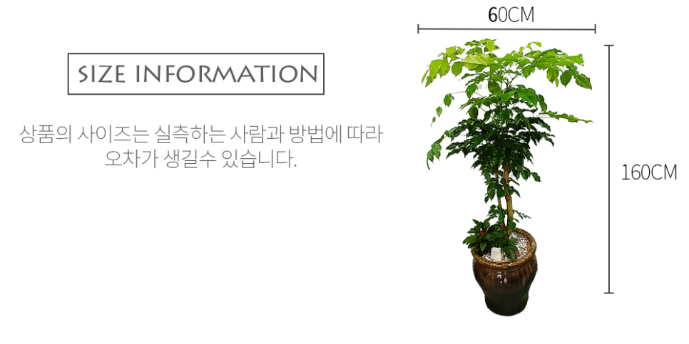 남양꽃집힐링플라워 이미지