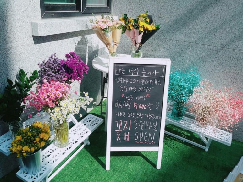 나는너의봄이다 이미지