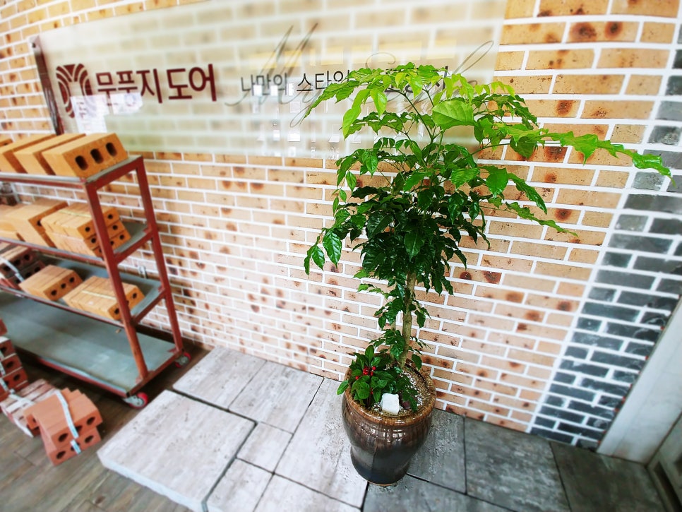 남양꽃집힐링플라워 이미지