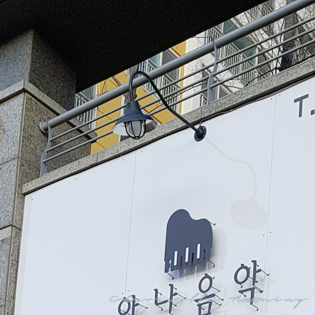 루나221 이미지