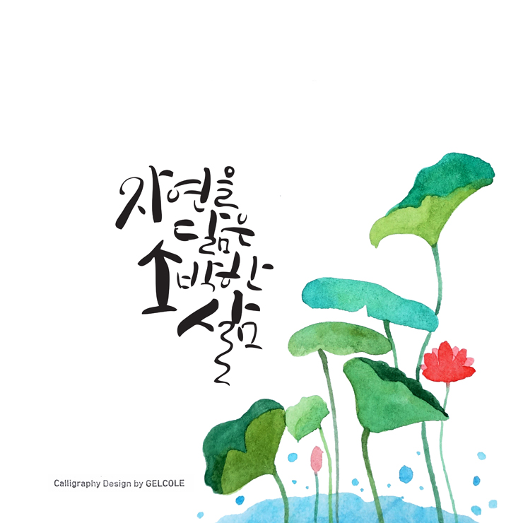 한국캘리그라피디자인센터 이미지