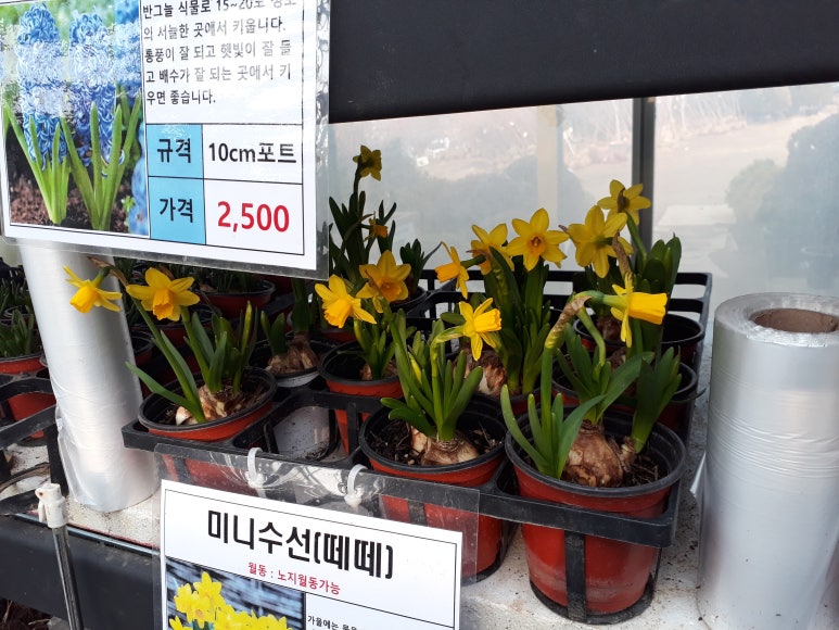 제일종묘사 이미지
