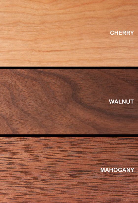 월넛 walnut 이미지