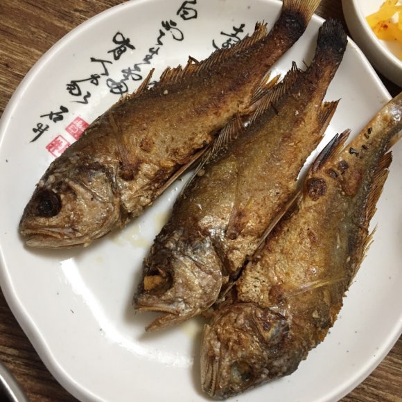 마마국시집 이미지