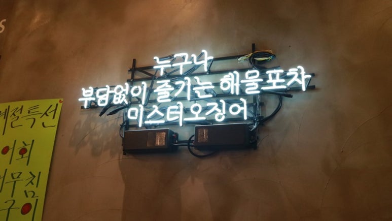 미스터오징어 이미지