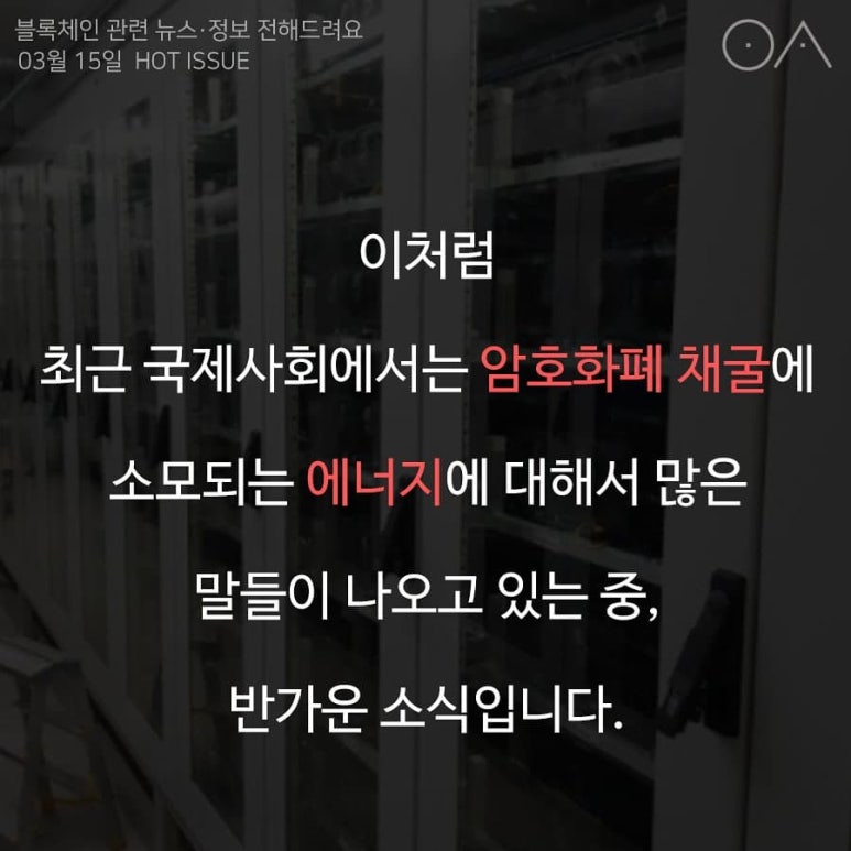 크립토마토 이미지