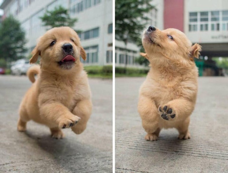강변야식 이미지