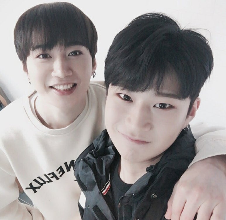 나인플럭스 이미지