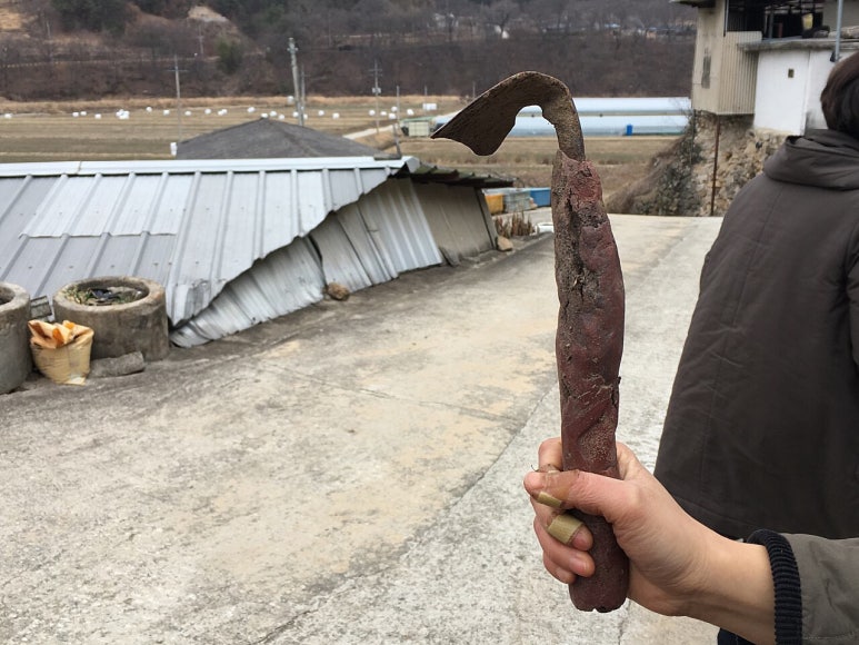 씨드림 이미지
