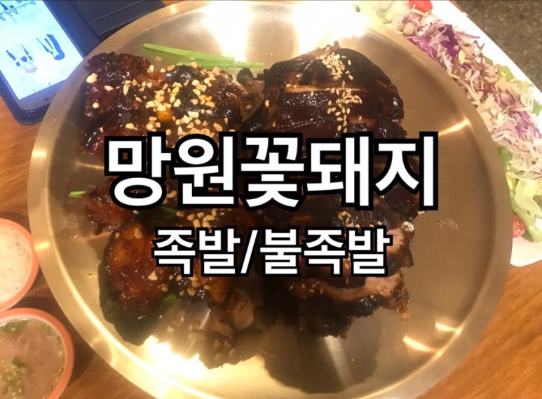 마포꽃돼지 이미지