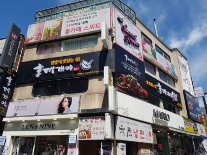 홍대개미 이미지