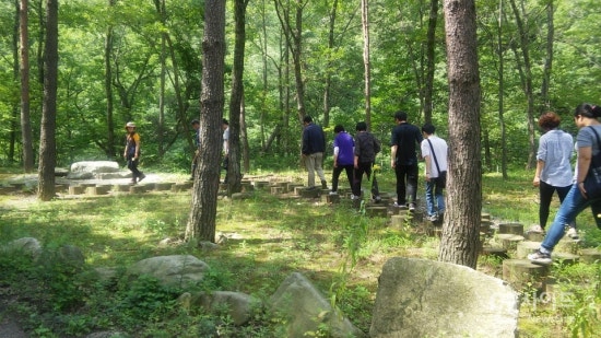 강원산림교육전문가협회 이미지