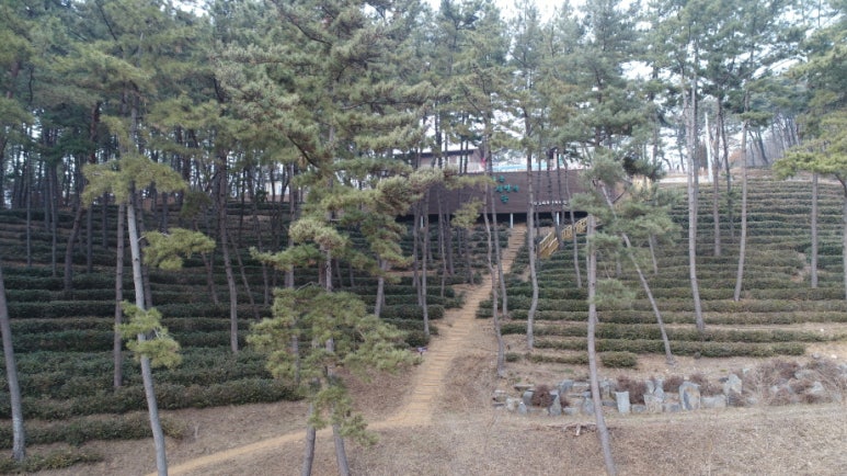 금마 서동공원 유아숲체험원 이미지