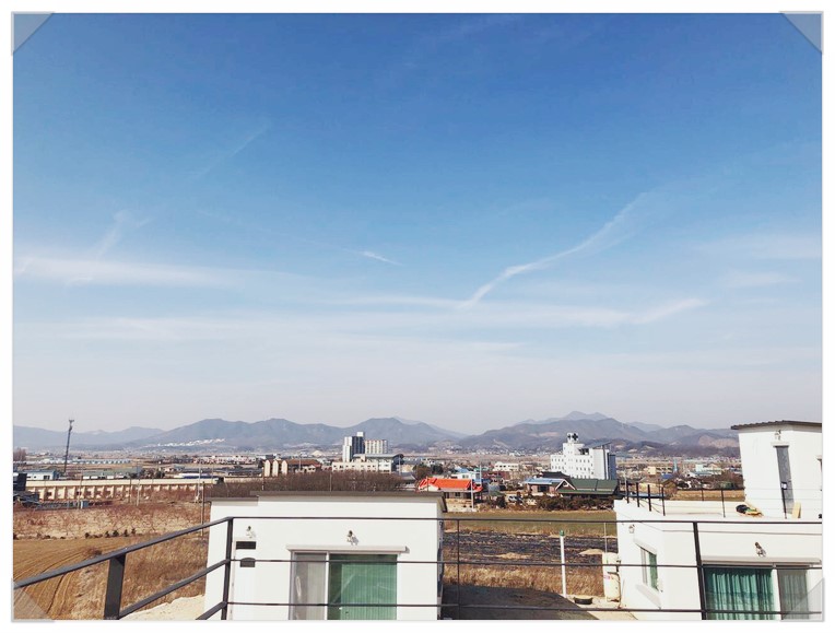 신양조경 이미지