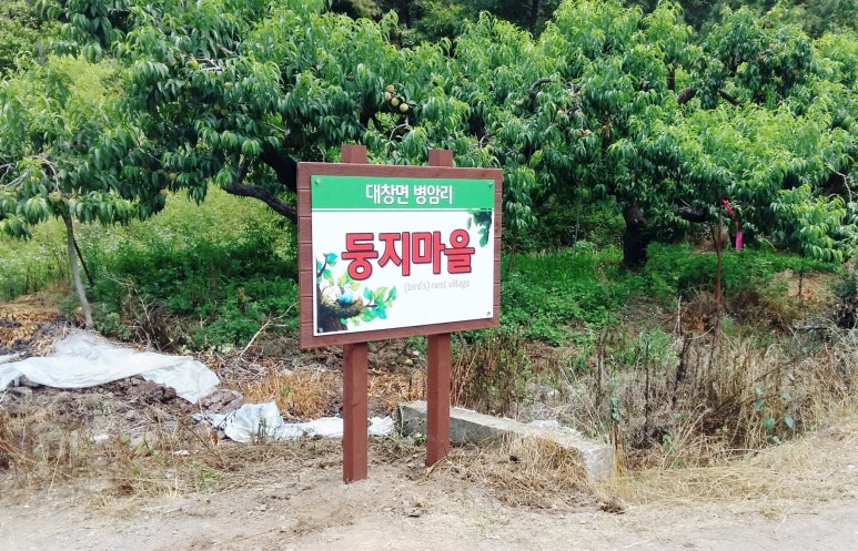 영남디앤지 이미지
